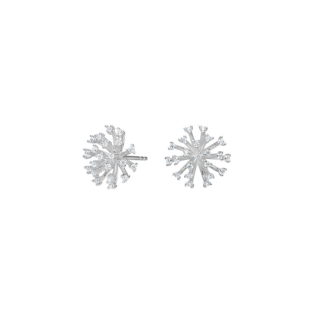 Silver ear studs PEYTONNOR