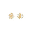 Silver ear studs PEYTONNOR