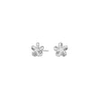 Earrings SAKURANOR