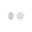 Silver earrings ROSETTANOR
