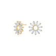 Silver earrings ROSETTANOR