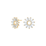 Silver earrings ROSETTANOR