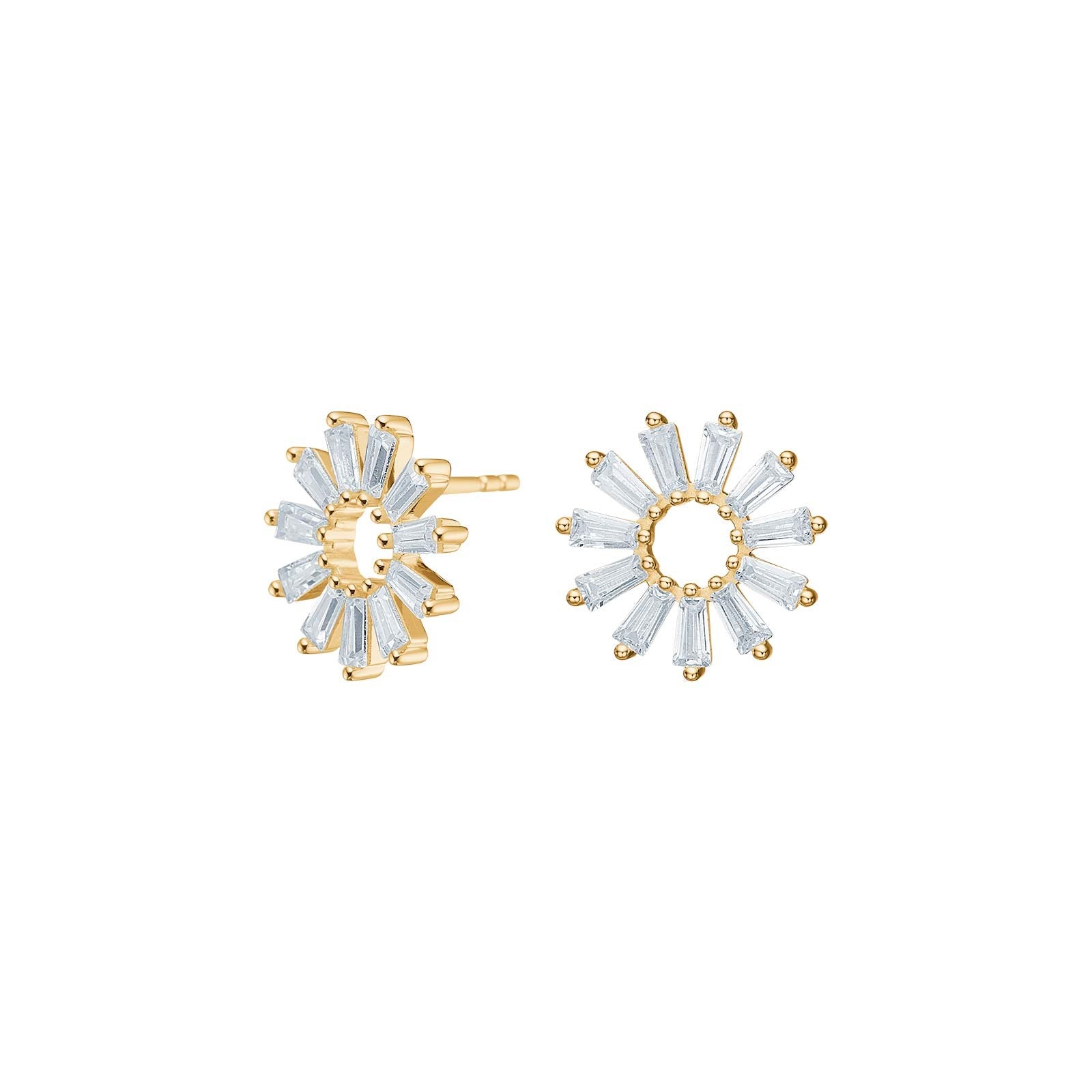 Silver earrings ROSETTANOR