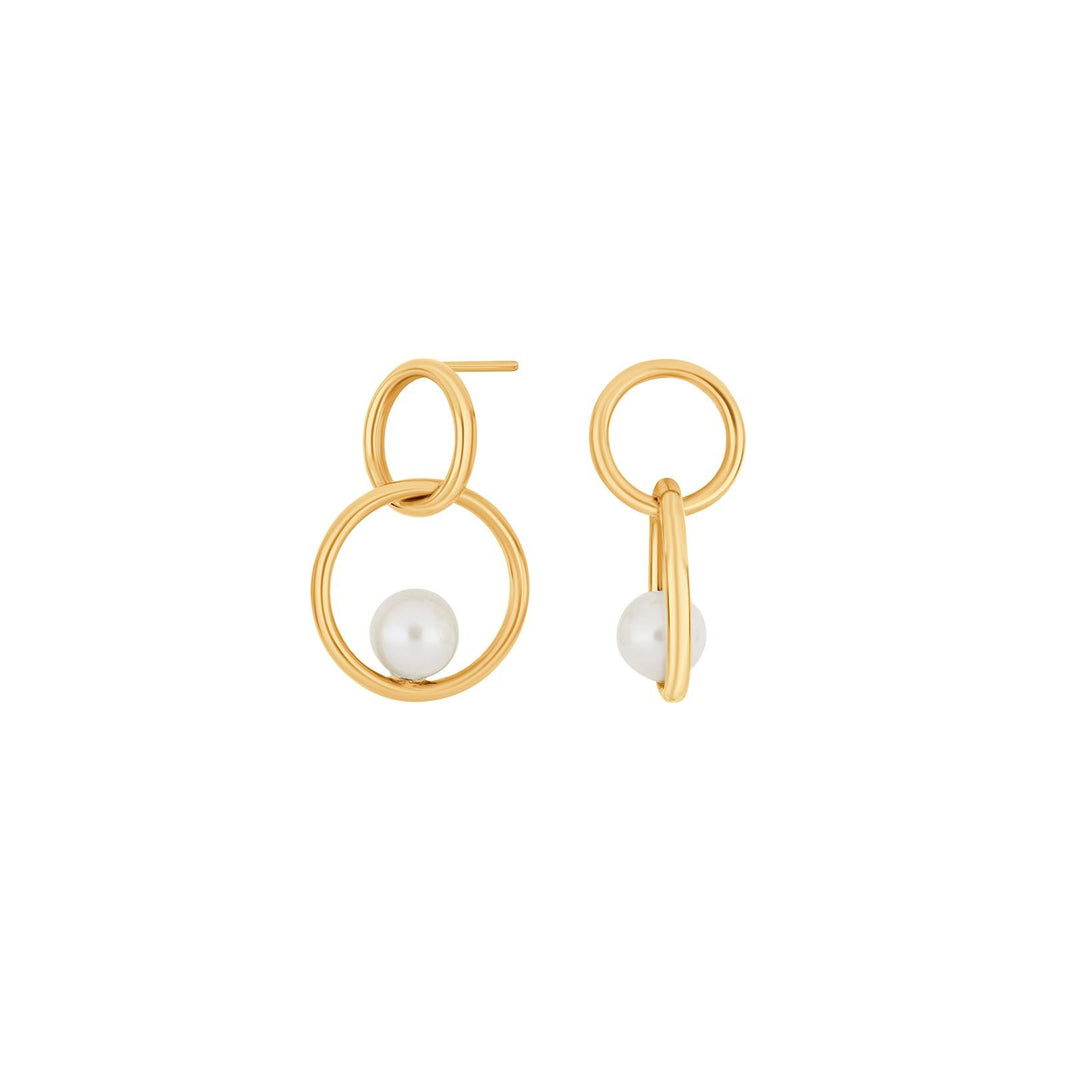 8ct. gold earrings