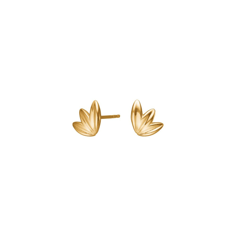 8kt. Goldohrringe