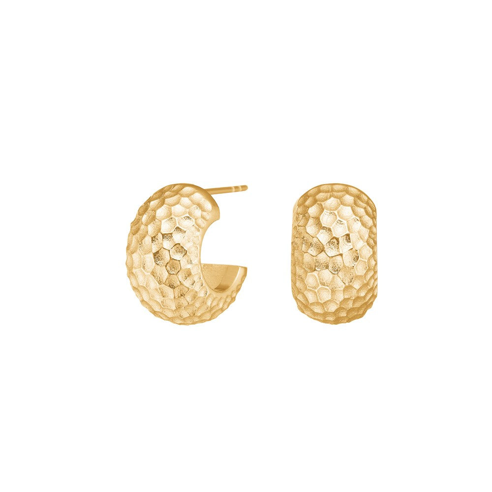 Creolen SALINO - IP Gold