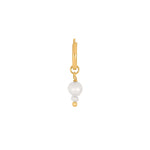 SON earring gold pl. silver