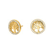 Silver earrings CAIANOR