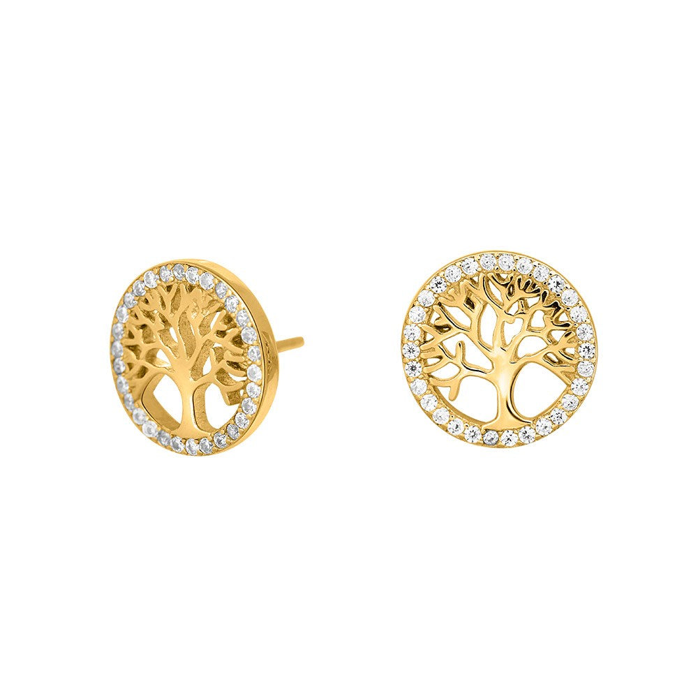 Silver earrings CAIANOR