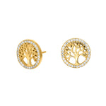 Silver earrings CAIANOR