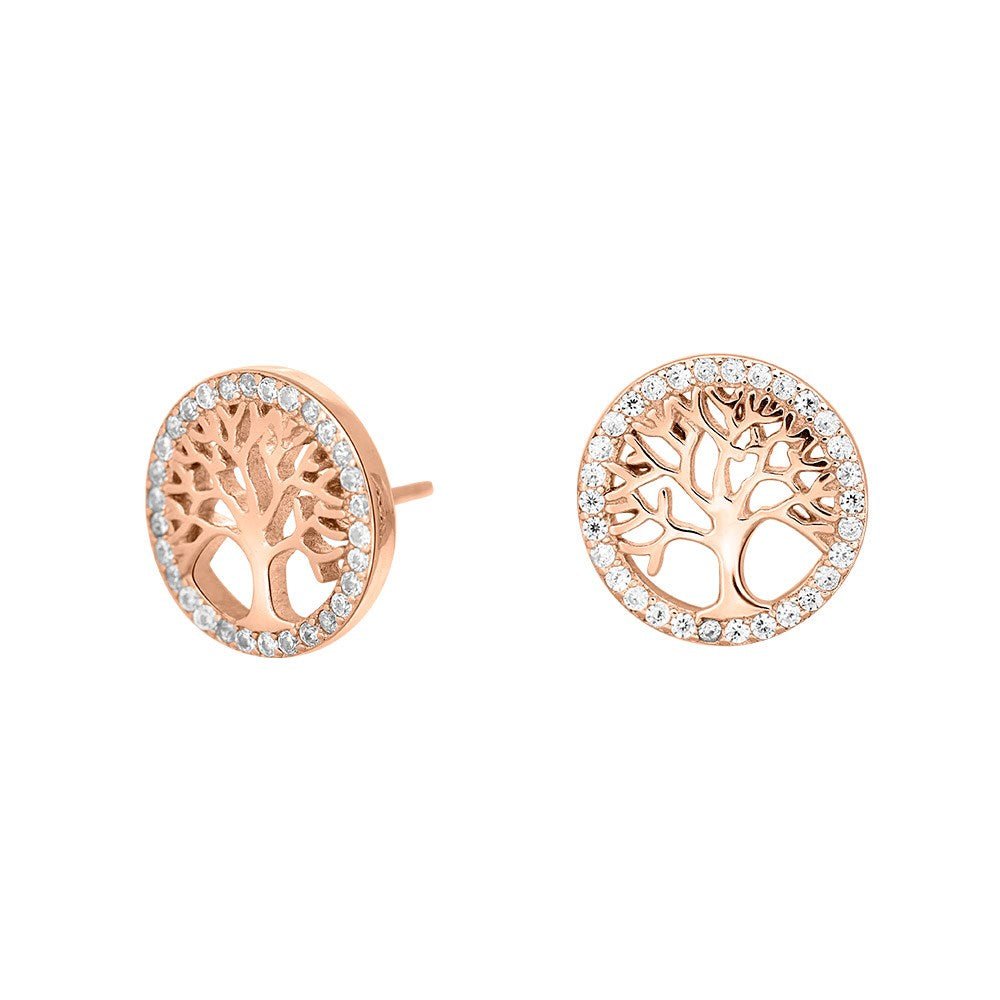 Silver earrings CAIANOR