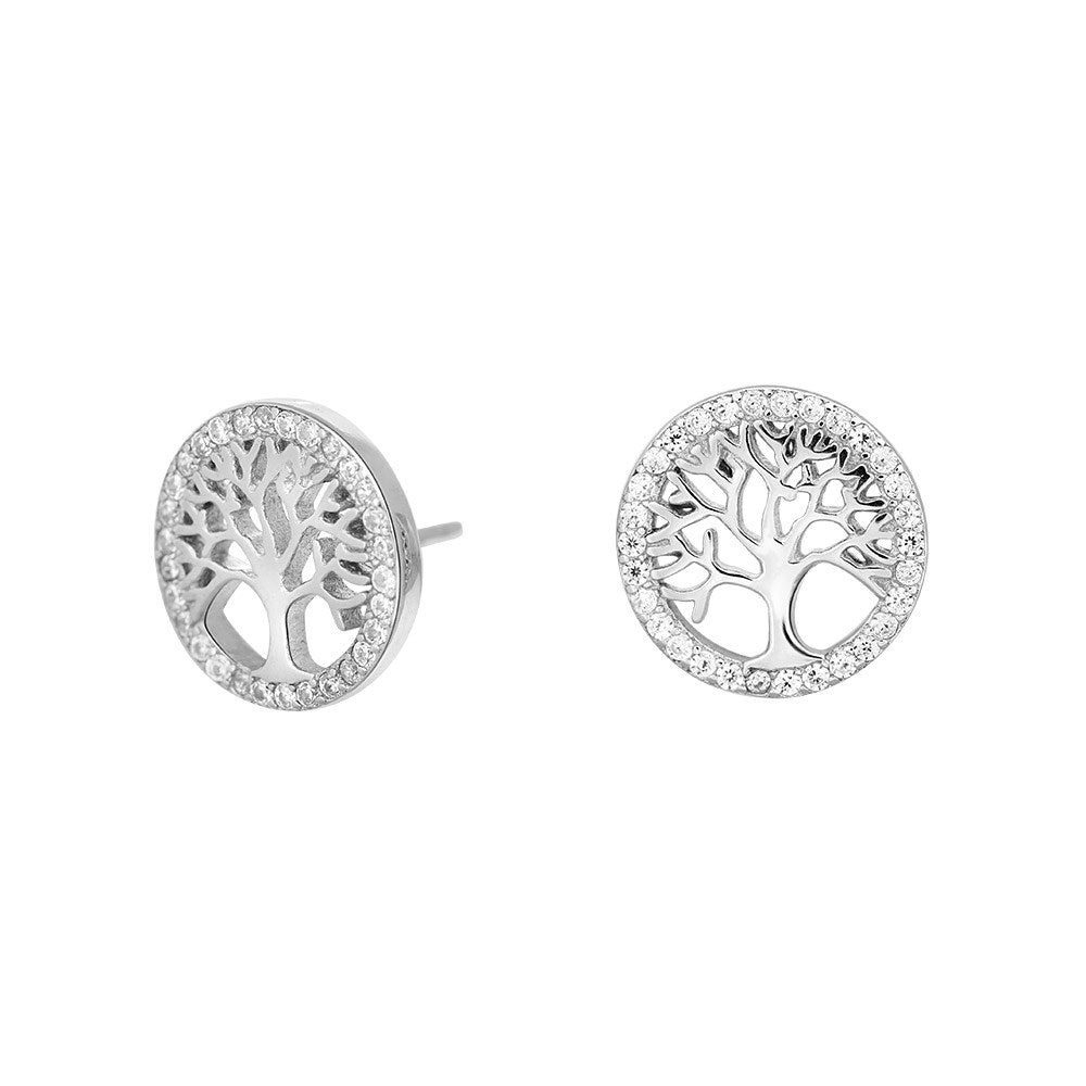 Silver earrings CAIANOR