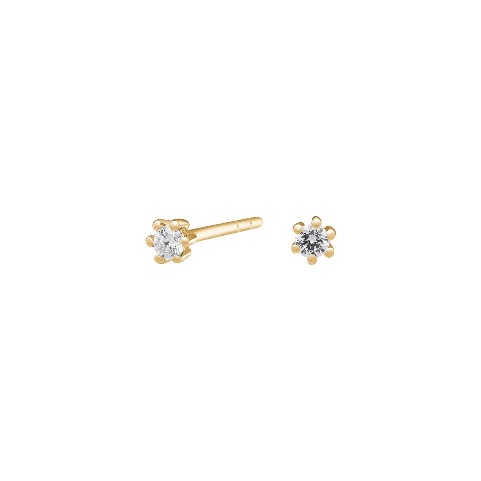 Siersbøl 14ct. Afrodite earrings  0.06ct WSI