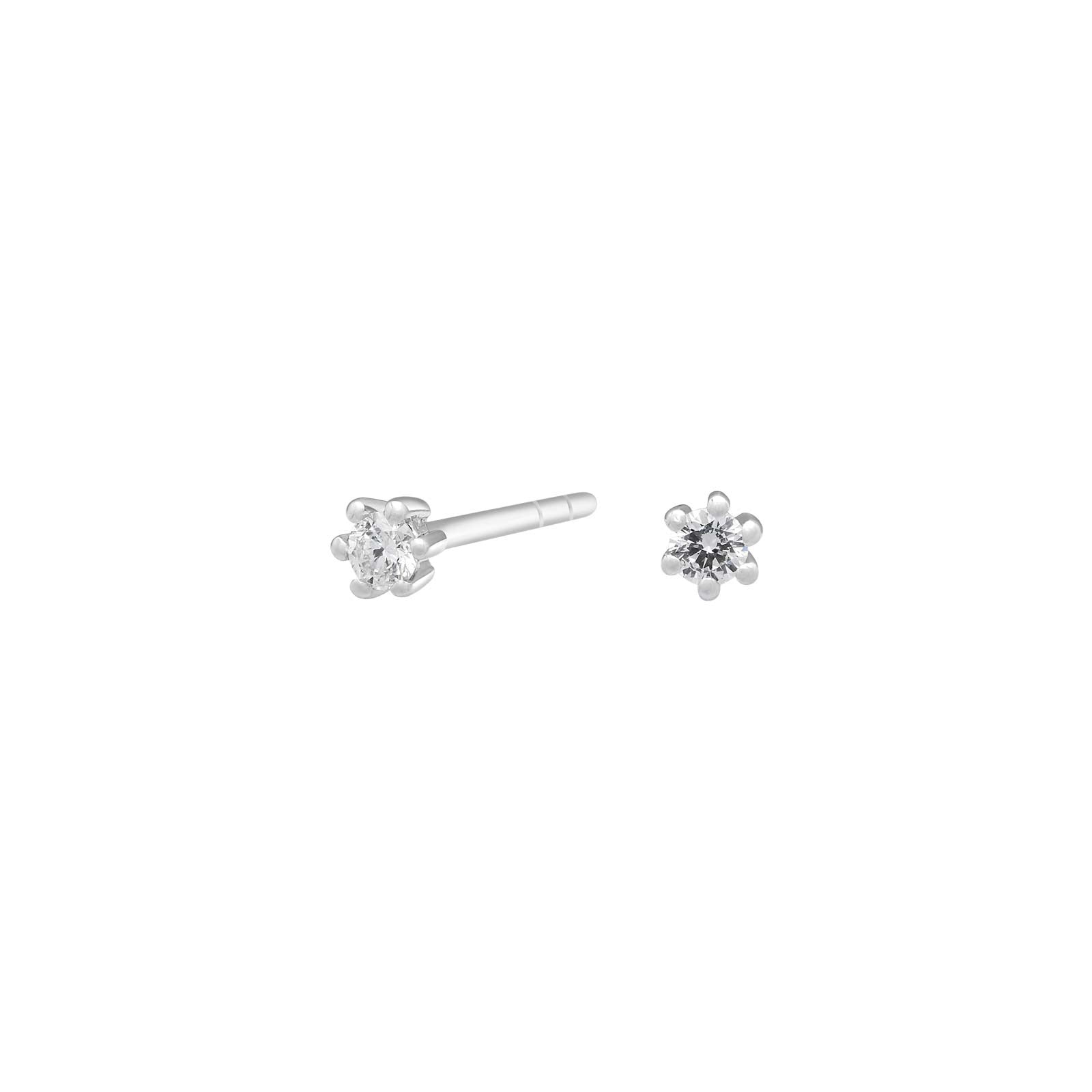 Siersbøl 14ct. Afrodite WG earrings 0.06ct WSI