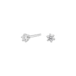 Siersbøl 14ct. Afrodite WG earrings 0.10ct WSI