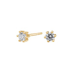 Siersbøl 14ct. Afrodite earrings 0.30ct WSI