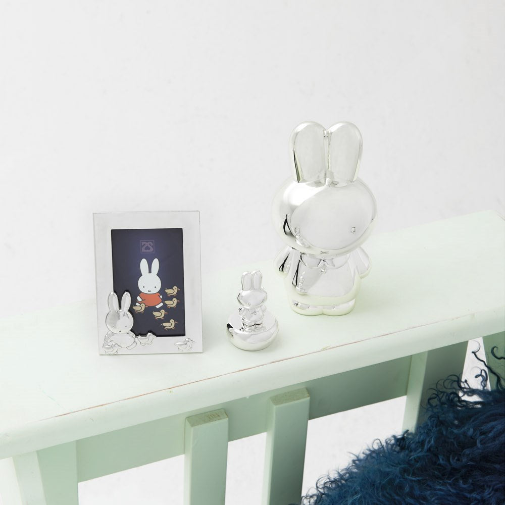 Money box miffy