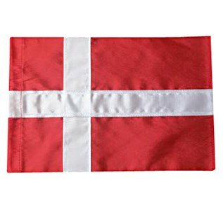 Dänische Flagge Dannebrog 40 cm 10x16 cm