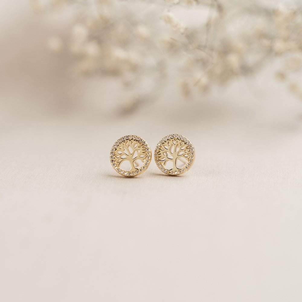 Silver earrings CAIANOR