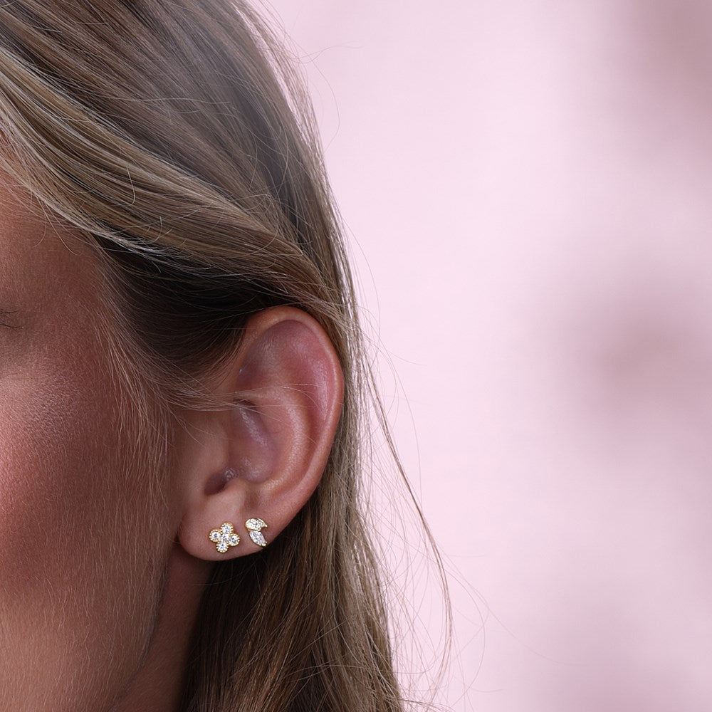 Earrings SIGNENOR - Gold plated