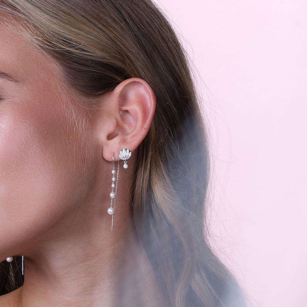 Ørestikker muslingeskal SELINANOR