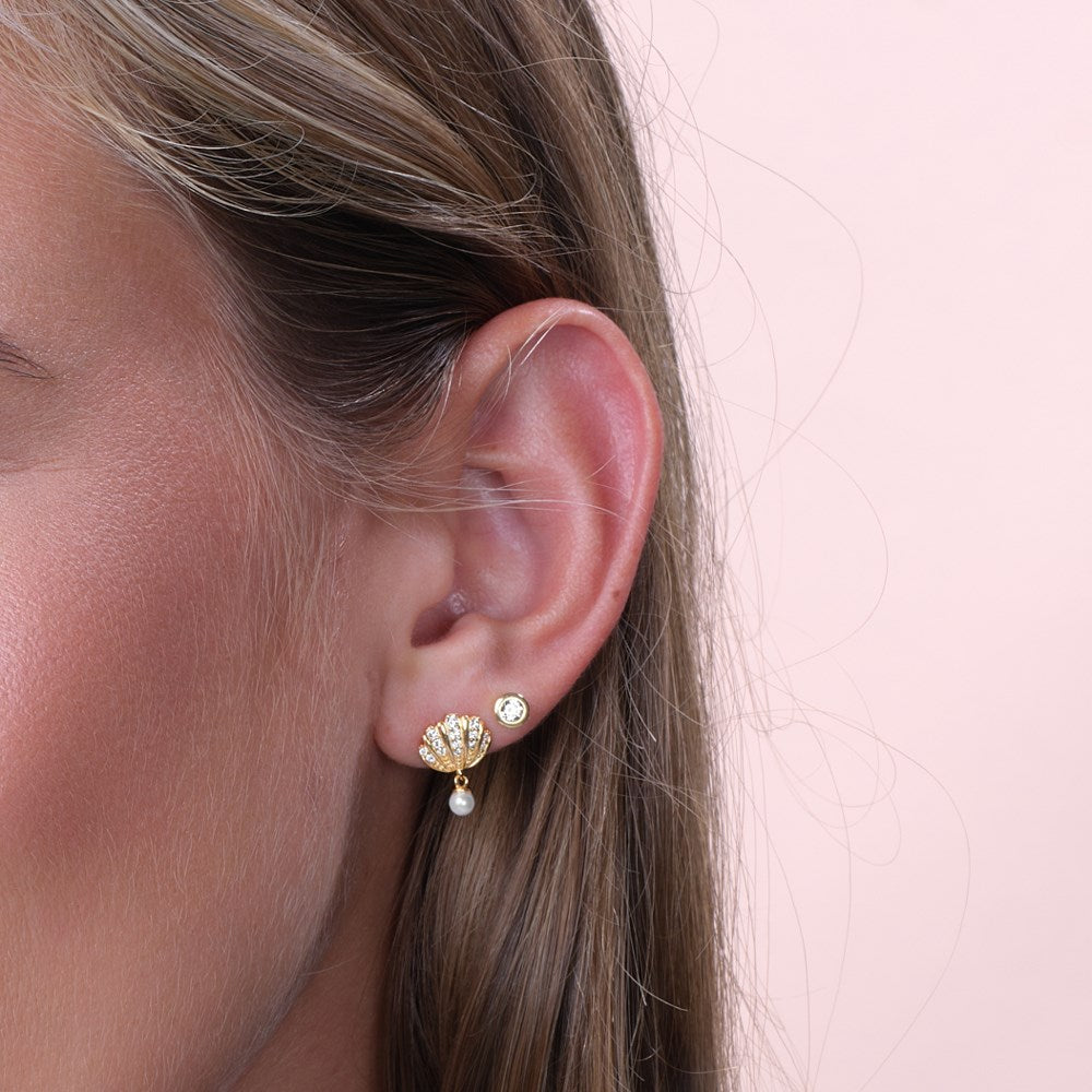 Ørestikker muslingeskal SELINANOR