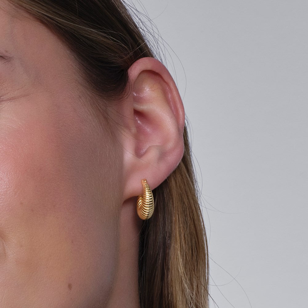 Silver creoles TORN52