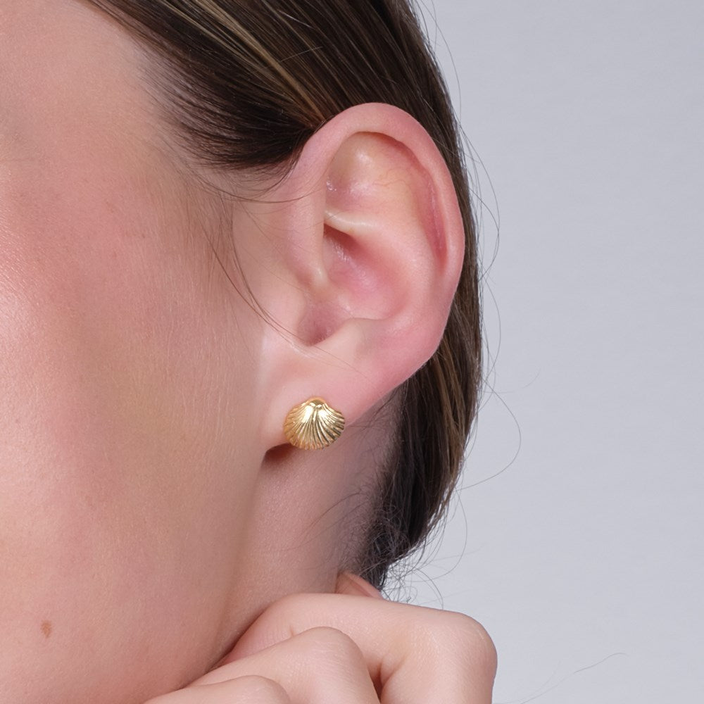 Silver ear studs seashell SEA52