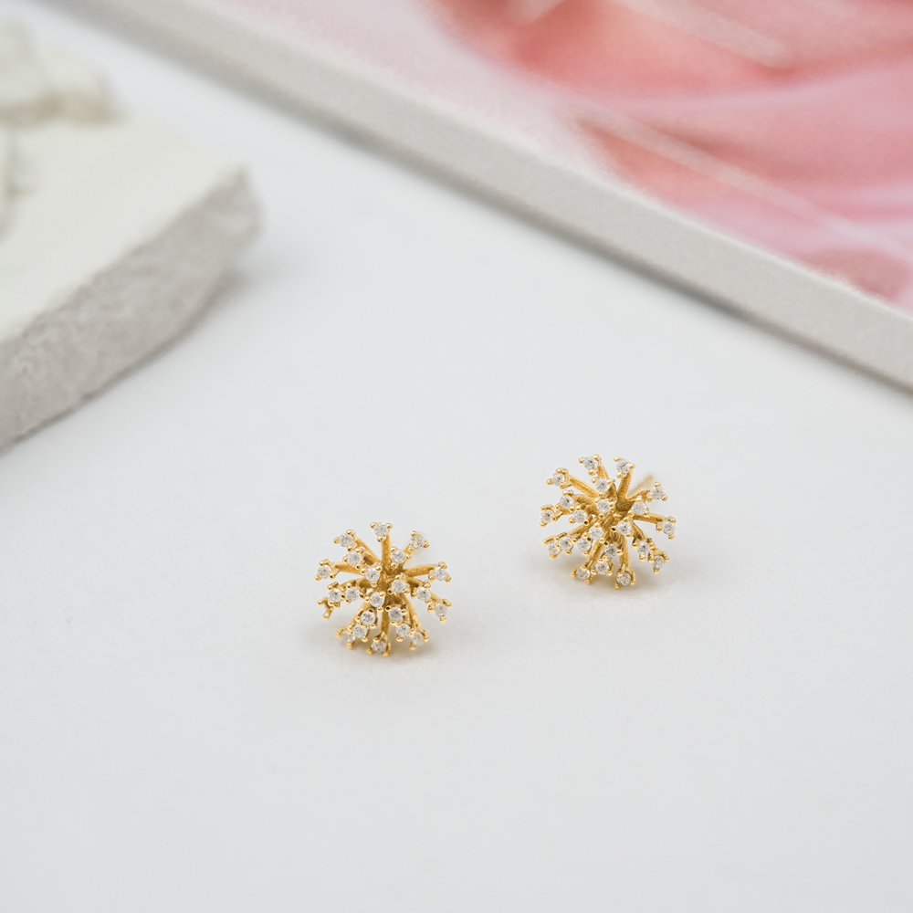 Silver ear studs PEYTONNOR