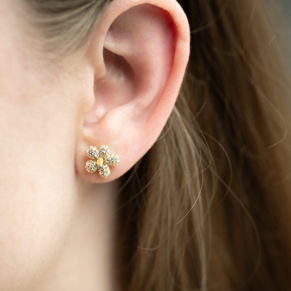 Silver earrings PHOEBENOR